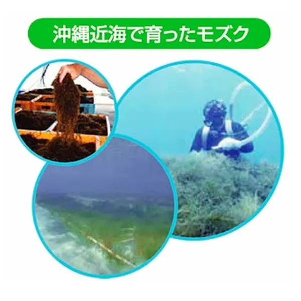 VIÊN UỐNG FUCOIDAN OKINAWA - SỨC KHỎE TỪ BIỂN CẢ