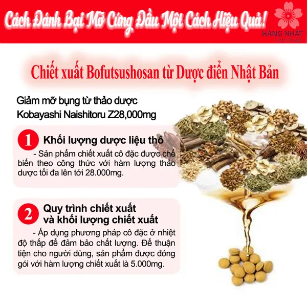 VIÊN UỐNG GIẢM MỠ BỤNG KOBAYASHI NAISHITORU Z28,000mg