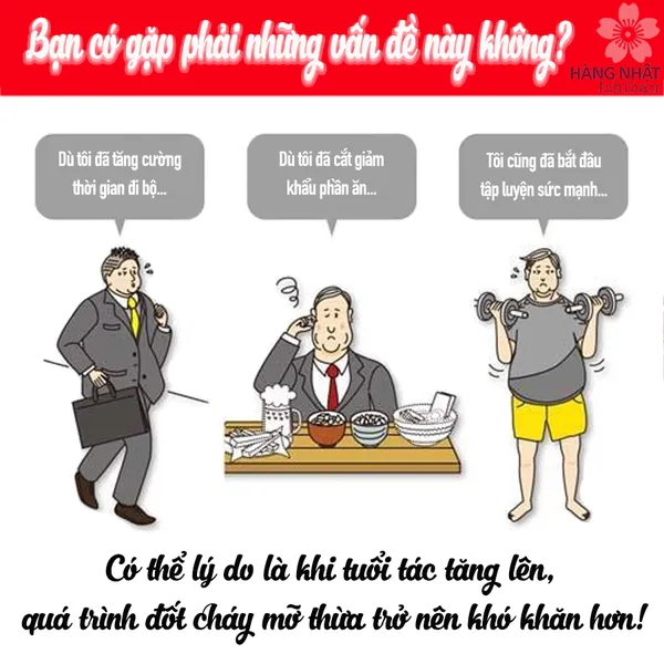 VIÊN UỐNG GIẢM MỠ BỤNG KOBAYASHI NAISHITORU Z28,000mg
