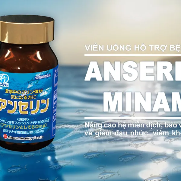 VIÊN UỐNG GOUT ANSERINE MINAMI - HỖ TRỢ ĐIỀU TRỊ GOUT HIỆU QUẢ