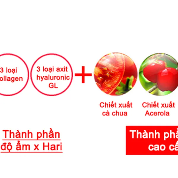 LOTION TRẮNG DA GRACE ONE