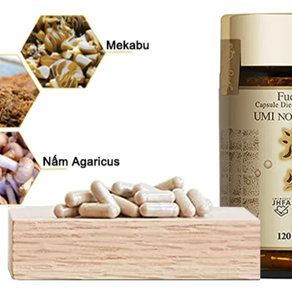 FUCOIDAN UMI NO SHIZUKU HỖ TRỢ ĐIỀU TRỊ VÀ PHÒNG NGỪA UNG THƯ