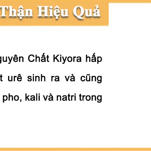 VIÊN UỐNG ĐIỀU TRỊ BỆNH THẬN KIYORA - CẢI THIỆN SỨC KHỎE THẬN HIỆU QUẢ