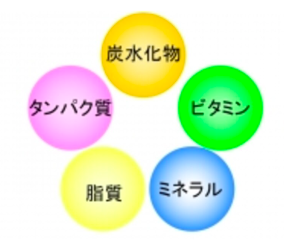 Tầm Quan Trọng Thực Sự Của Thực Phẩm Chức Năng Và Cách Sử Dụng Hiệu Quả Tầm Quan Trọng Thực Sự Của Thực Phẩm Chức Năng Và Cách Sử Dụng Hiệu Quả