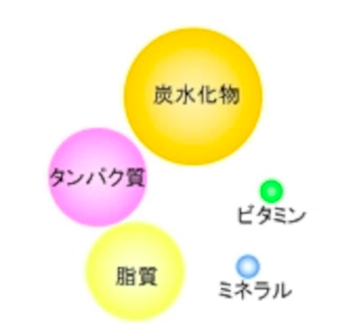 Tầm Quan Trọng Thực Sự Của Thực Phẩm Chức Năng Và Cách Sử Dụng Hiệu Quả Tầm Quan Trọng Thực Sự Của Thực Phẩm Chức Năng Và Cách Sử Dụng Hiệu Quả