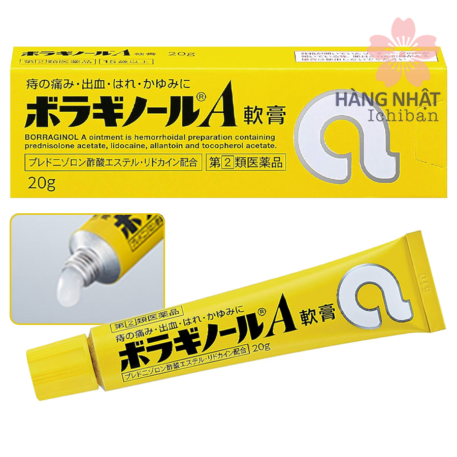 Thuốc Mỡ Trị Trĩ Borraginol A - Giảm Đau, Ngăn Chảy Máu Hiệu Quả Thuốc Mỡ Trị Trĩ Borraginol A - Giảm Đau, Ngăn Chảy Máu Hiệu Quả