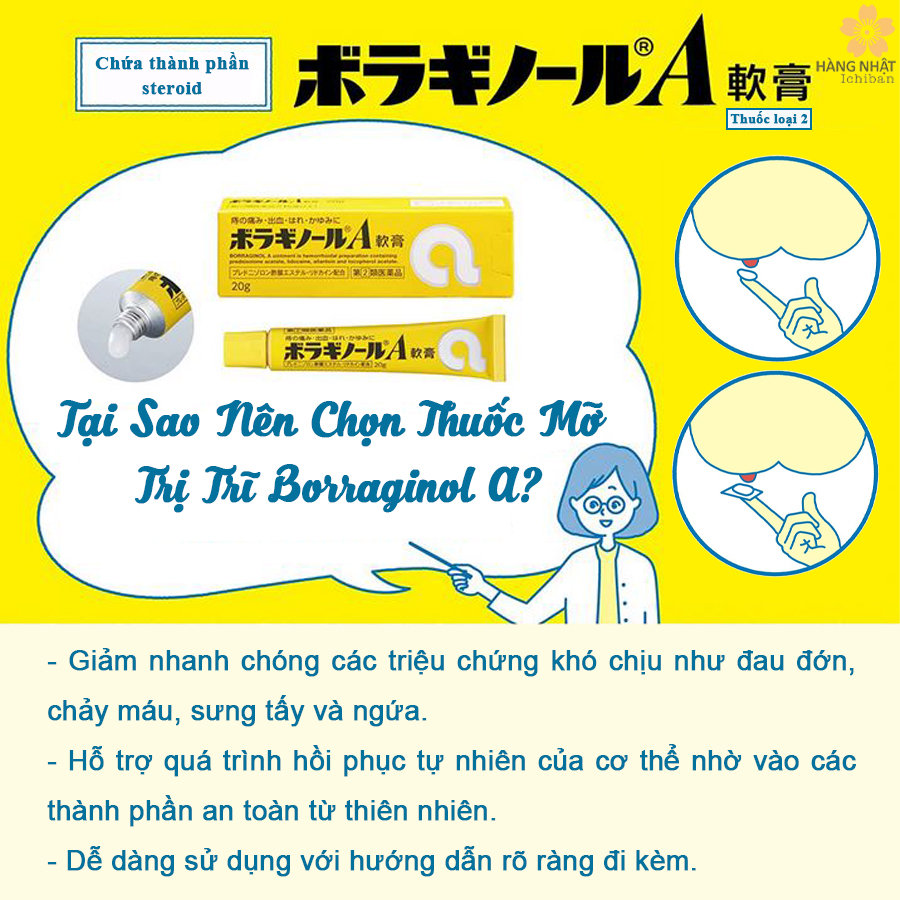 Thuốc Mỡ Trị Trĩ Borraginol A - Giảm Đau, Ngăn Chảy Máu Hiệu Quả Thuốc Mỡ Trị Trĩ Borraginol A - Giảm Đau, Ngăn Chảy Máu Hiệu Quả