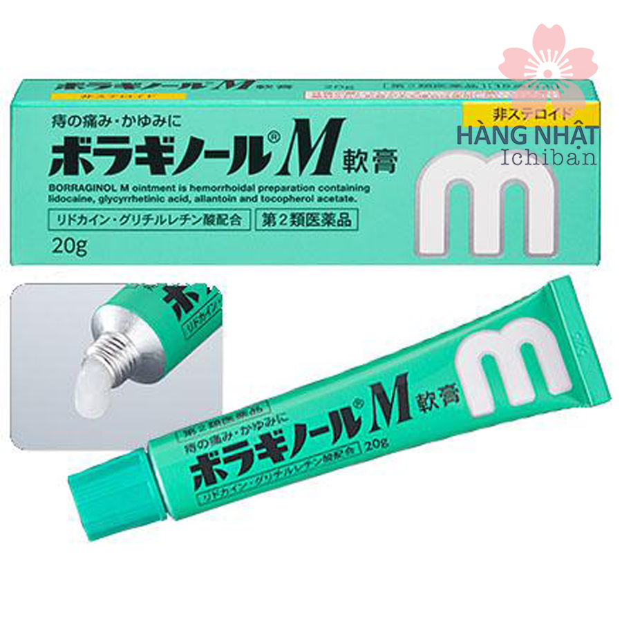 Thuốc mỡ trị trĩ Borraginol M - Giảm Đau, Ngứa Hiệu Quả An Toàn Thuốc mỡ trị trĩ Borraginol M - Giảm Đau, Ngứa Hiệu Quả An Toàn