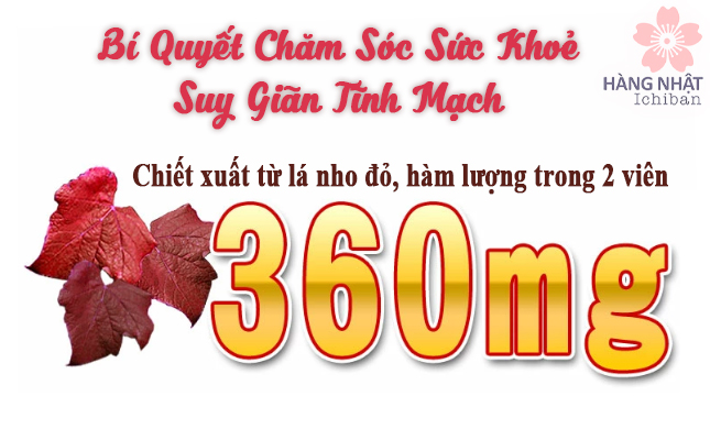 Viên Uống Điều Trị Suy Giãn Tĩnh Mạch Unitech Từ Lá Nho Đỏ Viên Uống Điều Trị Suy Giãn Tĩnh Mạch Unitech Từ Lá Nho Đỏ