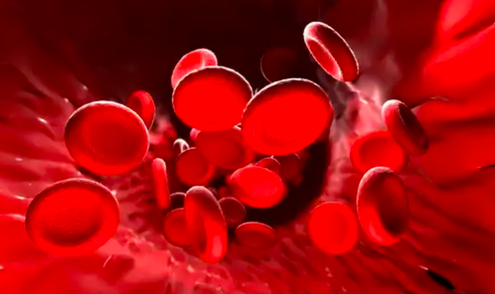 Triệu Chứng Do Thiếu Sắt Triệu Chứng Do Thiếu Sắt