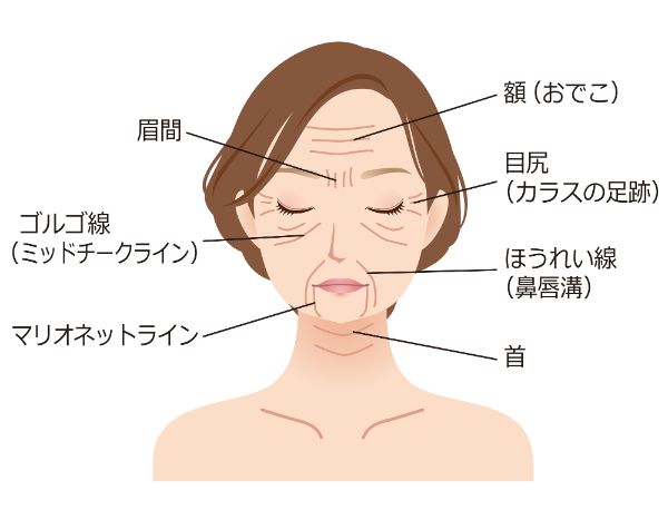 Đường Golgo Là Gì? Nguyên Nhân Và Phương Pháp Điều Trị Đường Golgo Là Gì? Nguyên Nhân Và Phương Pháp Điều Trị