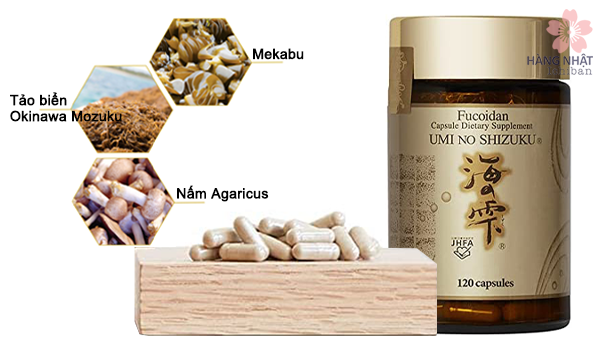 Fucoidan Umi No Shizuku Hỗ Trợ Điều Trị Và Phòng Ngừa Ung Thư Fucoidan Umi No Shizuku Hỗ Trợ Điều Trị Và Phòng Ngừa Ung Thư