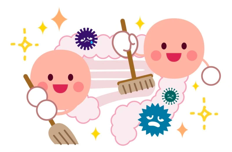 Lợi Ích Của Vi Khuẩn Axit Lactic Đối Với Sức Khỏe Phụ Nữ Trung Niên Lợi Ích Của Vi Khuẩn Axit Lactic Đối Với Sức Khỏe Phụ Nữ Trung Niên