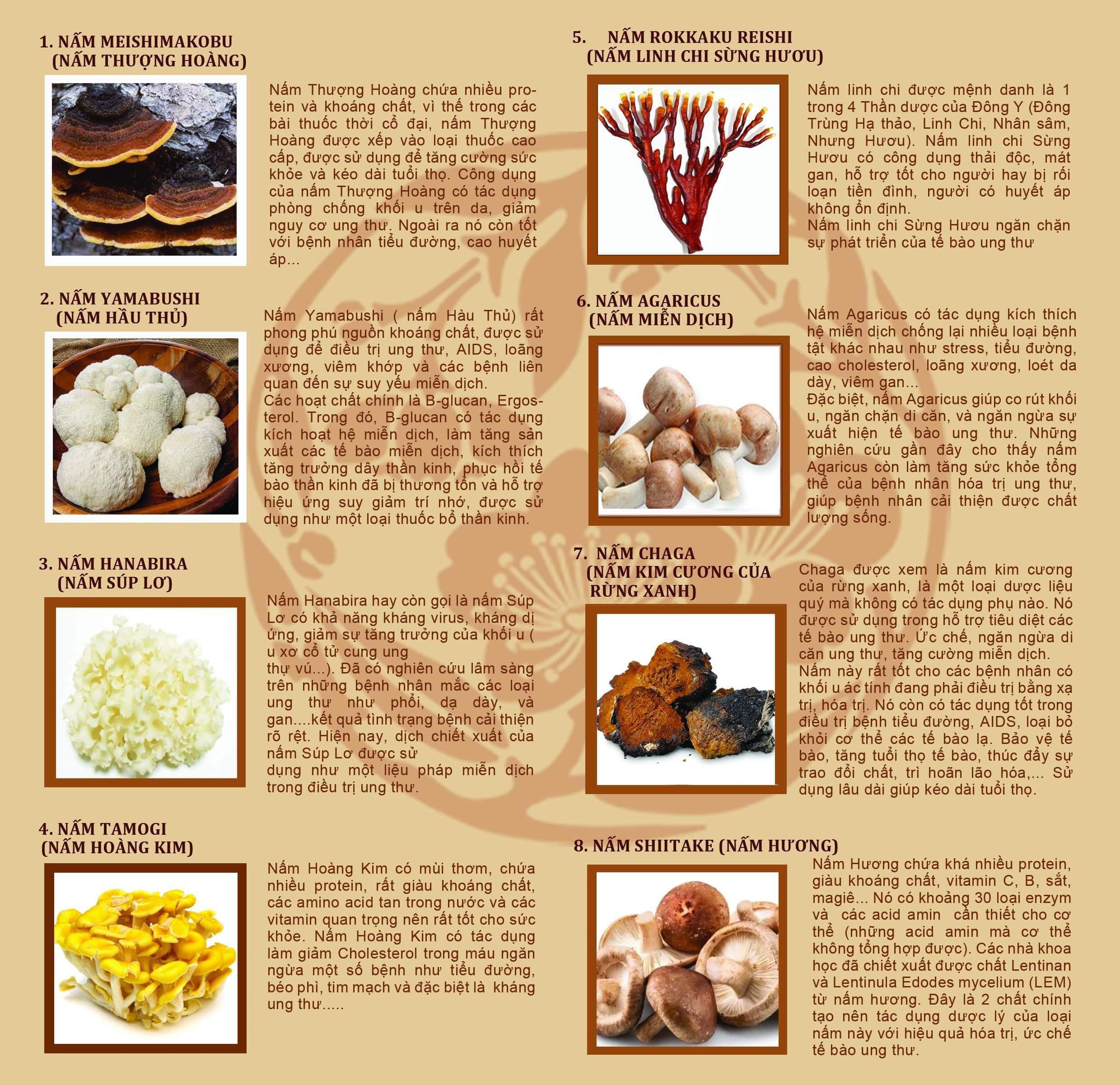 Viên Nắm Yorokobitake - Bí Quyết Ngừa Ung Thư từ Bát Bửu Dược Liệu Viên Nắm Yorokobitake - Bí Quyết Ngừa Ung Thư từ Bát Bửu Dược Liệu