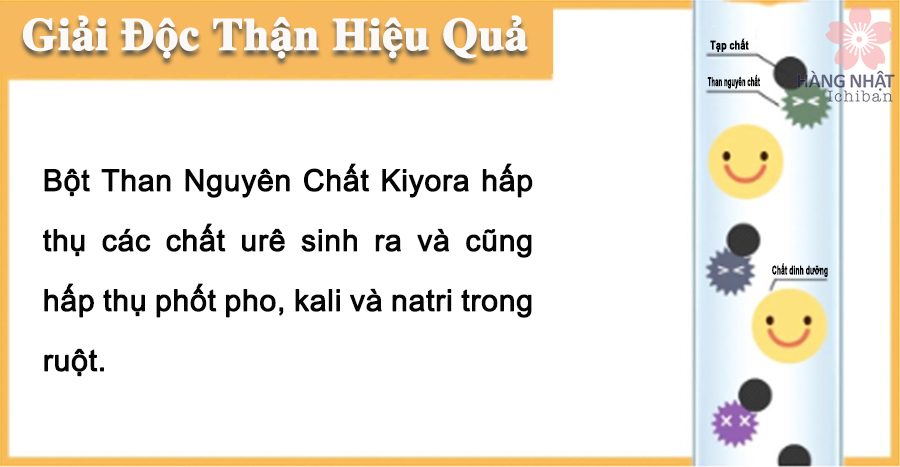 Viên Uống Điều Trị Bệnh Thận Kiyora - Cải Thiện Sức Khỏe Thận Hiệu Quả Viên Uống Điều Trị Bệnh Thận Kiyora - Cải Thiện Sức Khỏe Thận Hiệu Quả