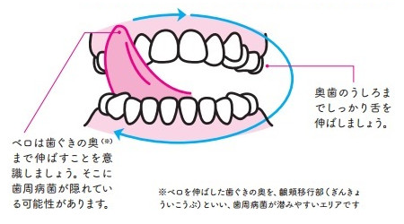 Phương Pháp "Xoay Lưỡi Khử Trùng" 1 Phút Phương Pháp "Xoay Lưỡi Khử Trùng" 1 Phút