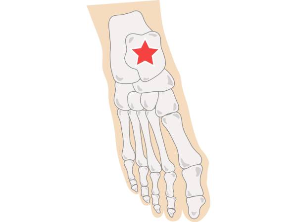 Khám Phá Lợi Ích Của Việc Xoay Mắt Cá Chân Và Cách Thực Hiện Đúng Cách! Khám Phá Lợi Ích Của Việc Xoay Mắt Cá Chân Và Cách Thực Hiện Đúng Cách!