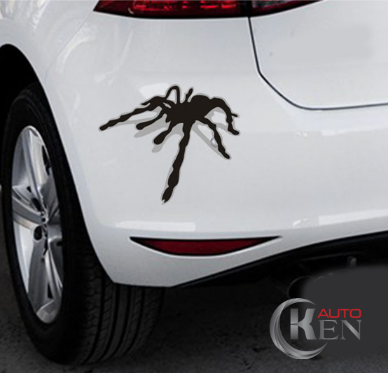 Decal dán xe hơi mẫu 6 Decal dán xe hơi mẫu 6
