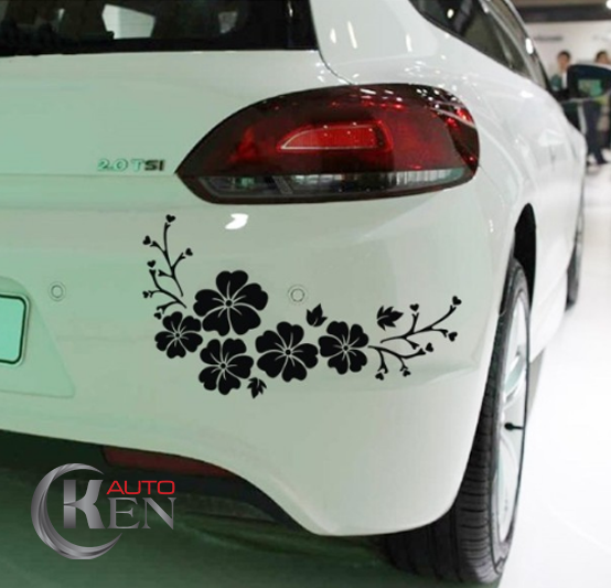 Decal dán xe hơi mẫu 5 Decal dán xe hơi mẫu 5