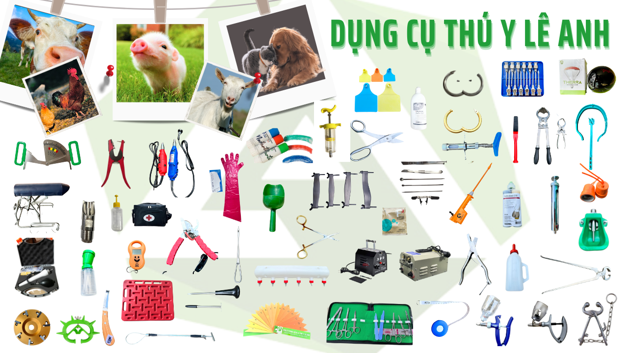 DỤNG CỤ THÚ Y