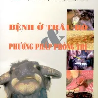 Sách: BỆNH Ở TRÂU BÒ VÀ PHƯƠNG PHÁP PHÒNG TRỊ