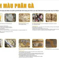 Tài liệu: PHÂN TÍCH MÀU PHÂN GÀ