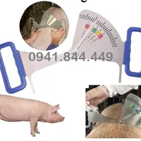 THƯỚC ĐO ĐỘ DÀY MỠ LƯNG TIỆN LỢI