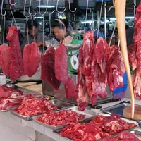 Thương lái Trung Quốc móc nối tung tin đồn giá trâu, bò giảm?