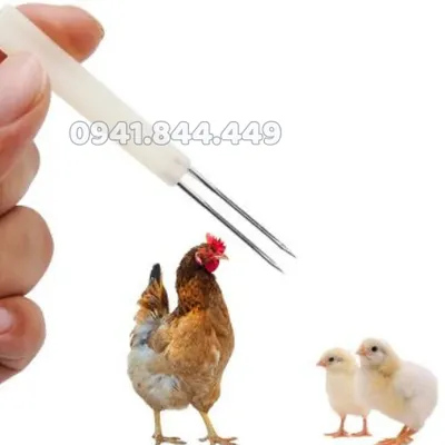 KIM CHỦNG ĐẬU CHO GÀ LOẠI 2 KIM, DỄ DÀNG SỬ DỤNG