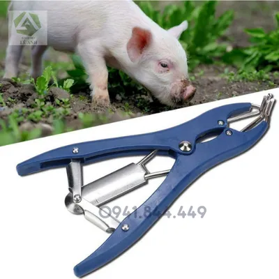KÌM ĐEO VÒNG THIẾN CHO GIA SÚC NHỎ