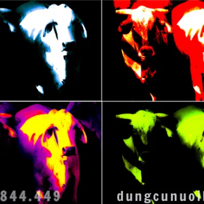 SỰ THẬT VỀ VIỆC NHỮNG CHÚ BÒ THẤY MÀU ĐỎ SẼ NHƯ THẾ NÀO?