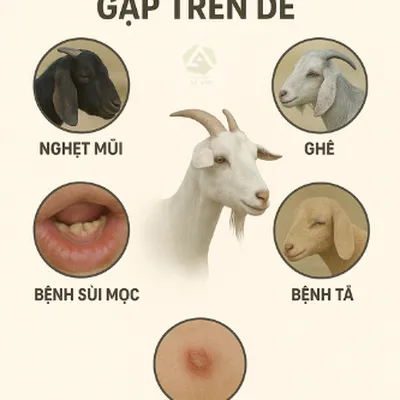 5 BỆNH THƯỜNG GẶP TRÊN DÊ – CHỦ NUÔI CẦN BIẾT! 