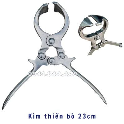 KÌM THIẾN GIA SÚC 23 CM - HIỆU QUẢ CAO, KHÔNG ĐAU
