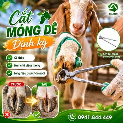 TẠI SAO CẦN CẮT MÓNG DÊ ĐỊNH KỲ?
