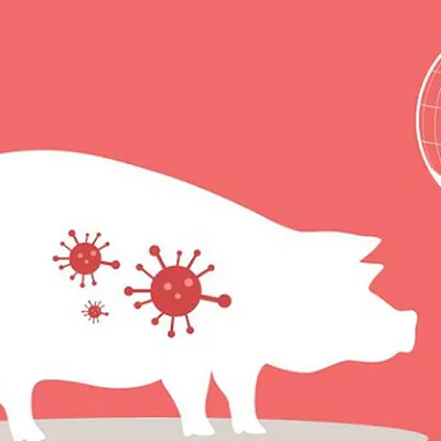 BỆNH DỊCH TẢ LỢN CHÂU PHI