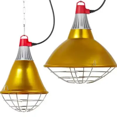 CHAO ĐÈN, CHÓA ĐÈN HỒNG NGOẠI CÓ LƯỚI BẢO VỆ