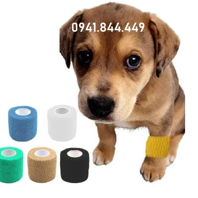 CUỘN BĂNG VẾT THƯƠNG LỚN (10*5CM) CAO CẤP CHỒNG NƯỚC