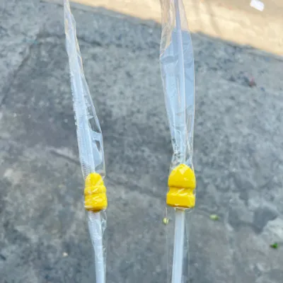 DÂY PHỐI TINH ĐẦU SÂU