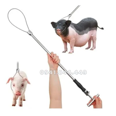 GẬY BẮT HEO, KHỚP MÕM CHÓ - TAY ĐỆM CAO SU RẤT TIỆN LỢI