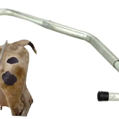 GẬY CHỐNG BÒ ĐÁ HIỆU QUẢ NHANH CHÓNG