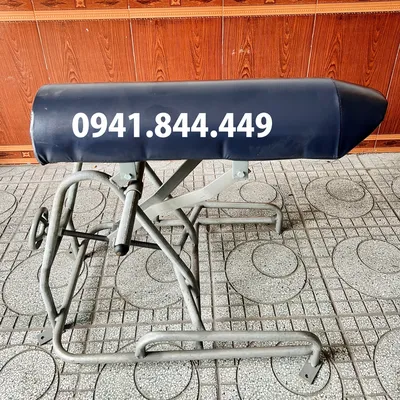 GIÁ NHẢY KHAI THÁC TINH LỢN, GIÁ NHẢY HEO ĐỰC GIỐNG LẤY TINH