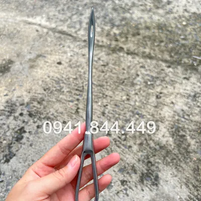 KIM KHÂU SA TỬ CUNG, KIM KHÂU VẾT THƯƠNG GIA SÚC