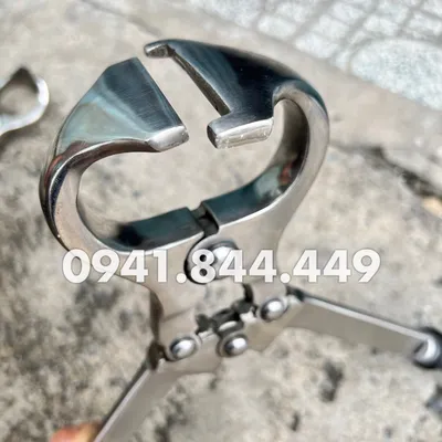 KÌM THIẾN LỚN ĐẠI GIA SÚC 40 CM - KHÔNG ĐAU, KHÔNG CHẢY MÁU