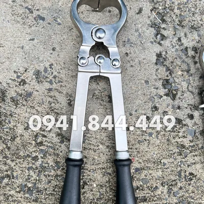 KÌM THIẾN LỚN ĐẠI GIA SÚC 40 CM - KHÔNG ĐAU, KHÔNG CHẢY MÁU