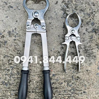 KÌM THIẾN LỚN ĐẠI GIA SÚC 40 CM - KHÔNG ĐAU, KHÔNG CHẢY MÁU