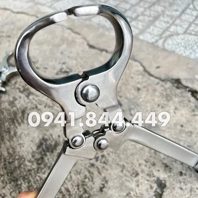KÌM THIẾN LỚN ĐẠI GIA SÚC 40 CM - KHÔNG ĐAU, KHÔNG CHẢY MÁU