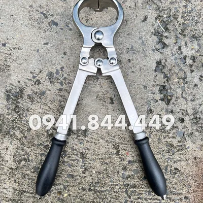 KÌM THIẾN LỚN ĐẠI GIA SÚC 40 CM - KHÔNG ĐAU, KHÔNG CHẢY MÁU