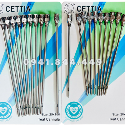 Kim thông vú bò (Kim truyền sữa)