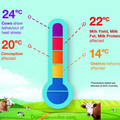 LÀM THẾ NÀO ĐỂ BẢO VỆ ĐÀN VẬT NUÔI KHỎI CÁI NÓNG GAY GẮT CỦA MÙA HÈ?