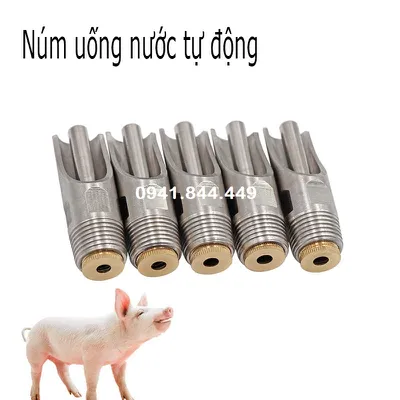 NÚM UỐNG TỰ ĐỘNG PHI 21 INOX 201 DÀY CAO CẤP CHO HEO (LỢN)